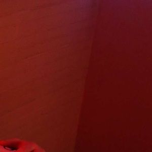 Meet your Posher, Gracie